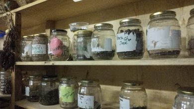 Seed bank