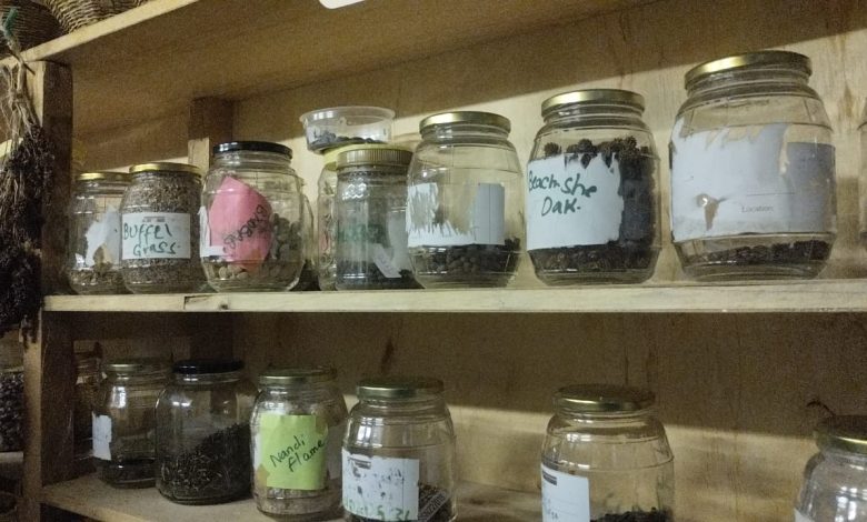 Seed bank