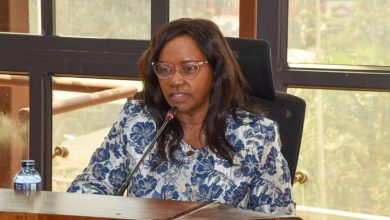 Kitui West MP Edith Nyenze