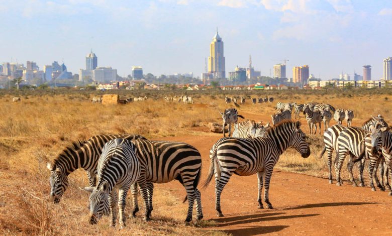 Nairobi National Park